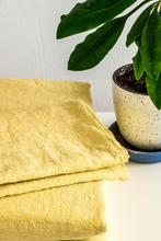 Load image into Gallery viewer, Fresh Lemon pillow case