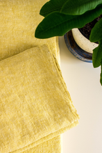 Load image into Gallery viewer, Fresh Lemon pillow case