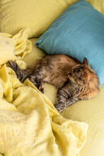 Load image into Gallery viewer, Fresh Lemon linen duvet cover
