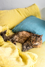 Load image into Gallery viewer, Fresh Lemon pillow case
