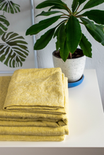 Load image into Gallery viewer, Fresh Lemon pillow case
